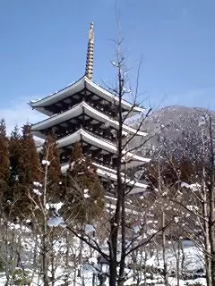 大師山 清大寺 越前大仏の写真1