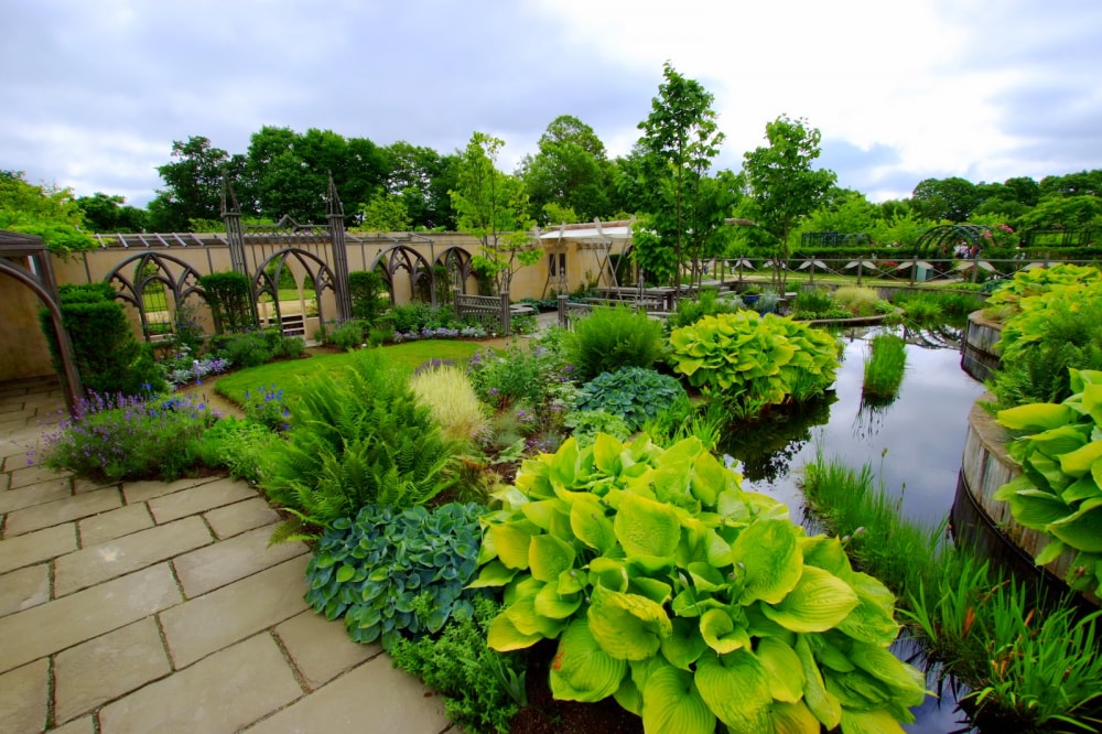 えこりん村の写真3