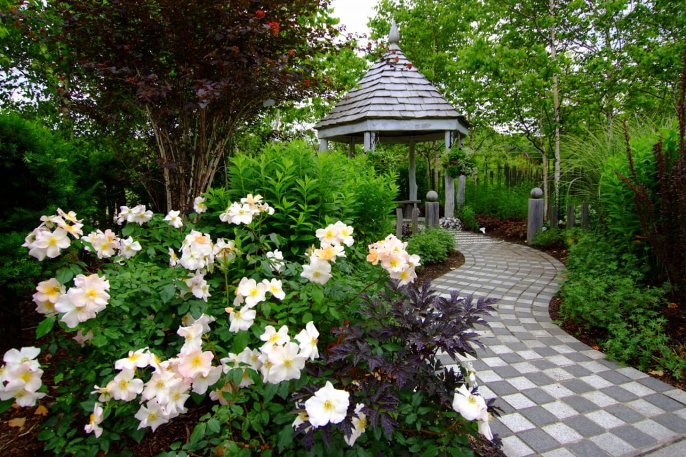 えこりん村の写真5