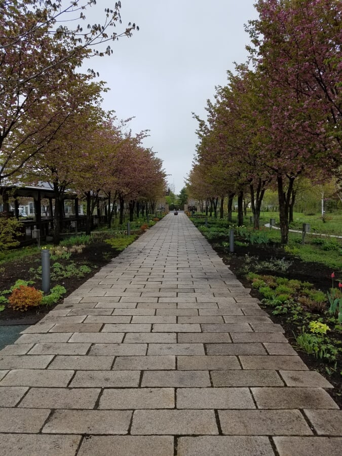 北のオアシス・旬・花・祝・豆 十勝ヒルズの写真2