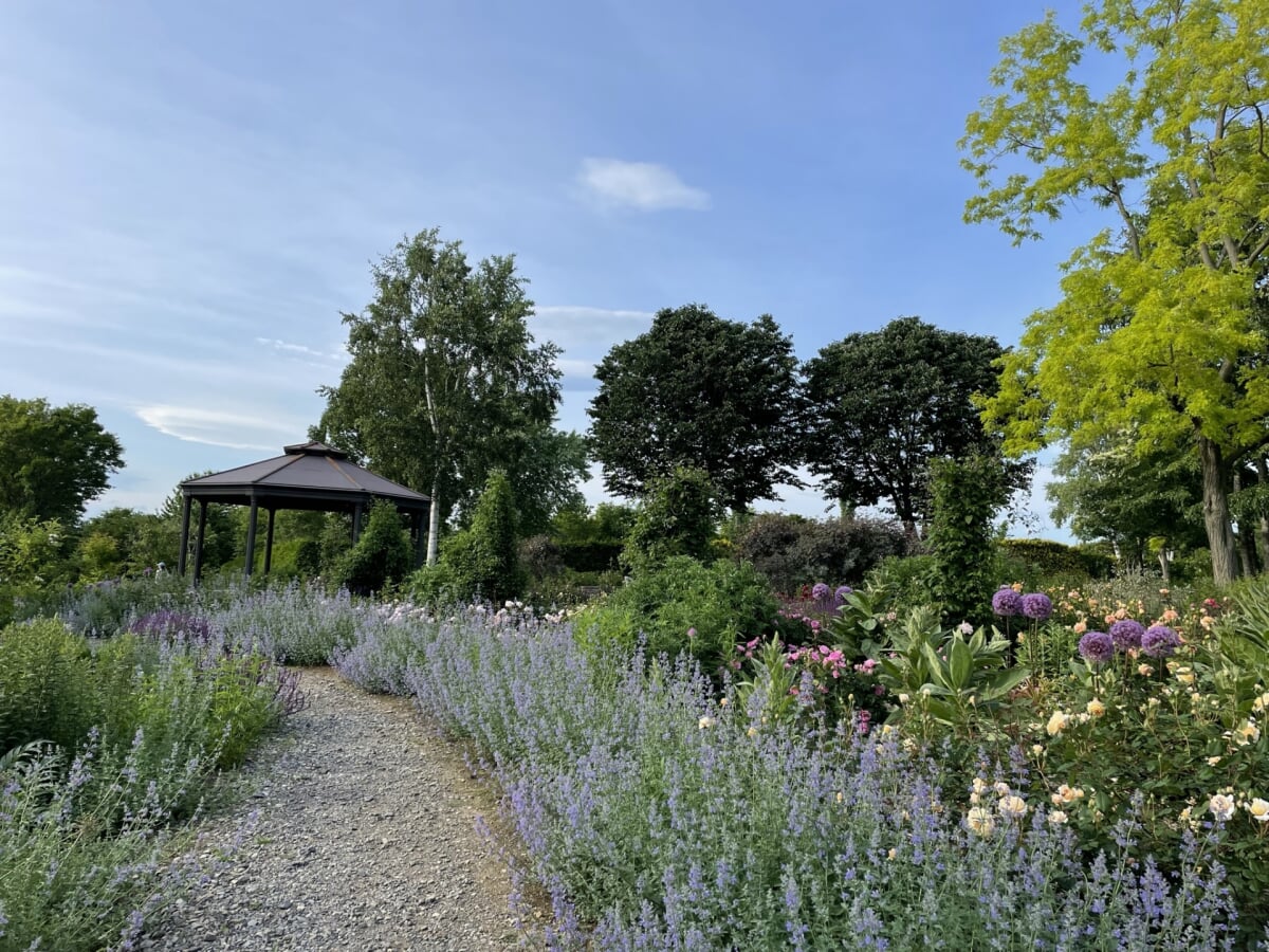 北のオアシス・旬・花・祝・豆 十勝ヒルズの写真4