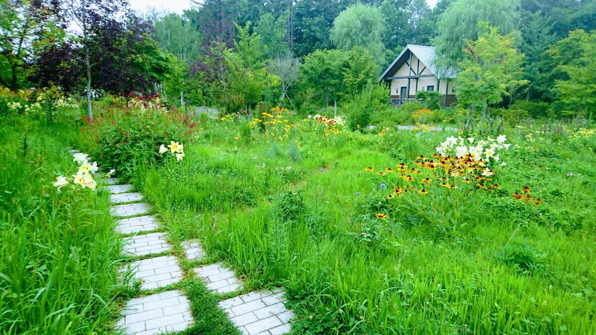 北のオアシス・旬・花・祝・豆 十勝ヒルズの写真5
