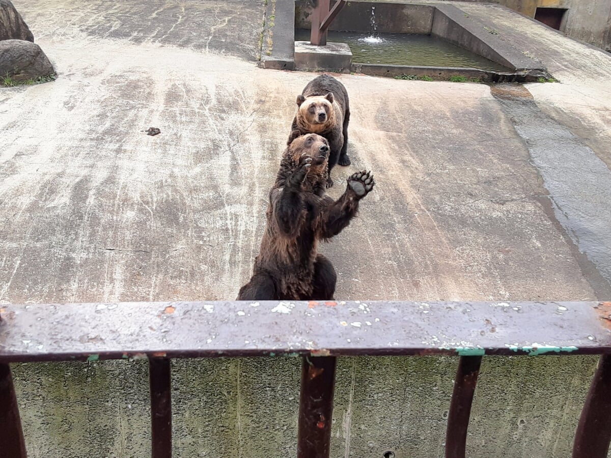 北の森ガーデンの写真1