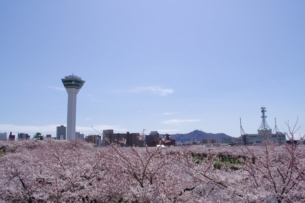 五稜郭タワーの写真5