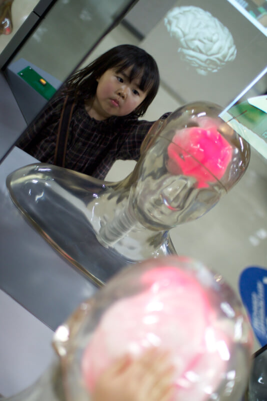 札幌市青少年科学館の写真4