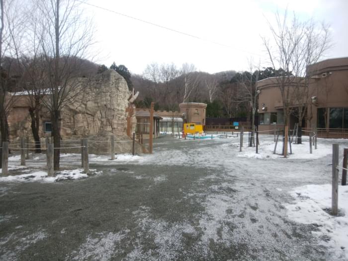札幌市円山動物園の写真5