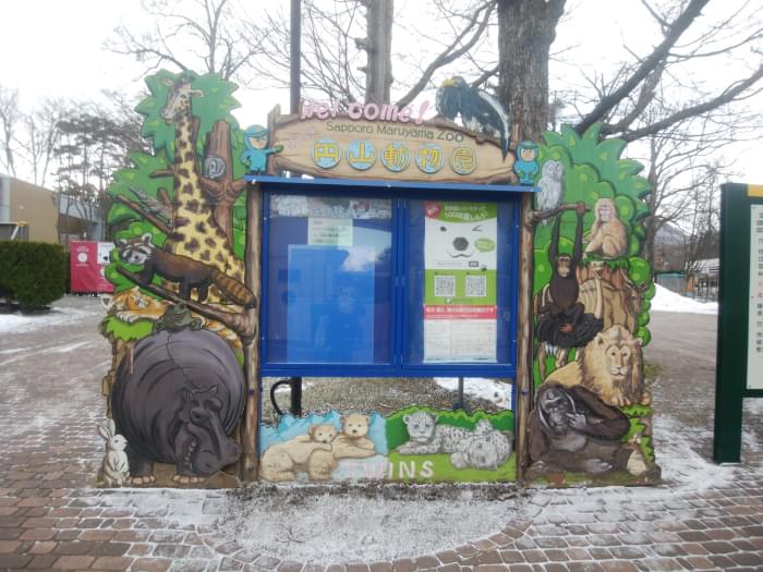 札幌市円山動物園の写真8