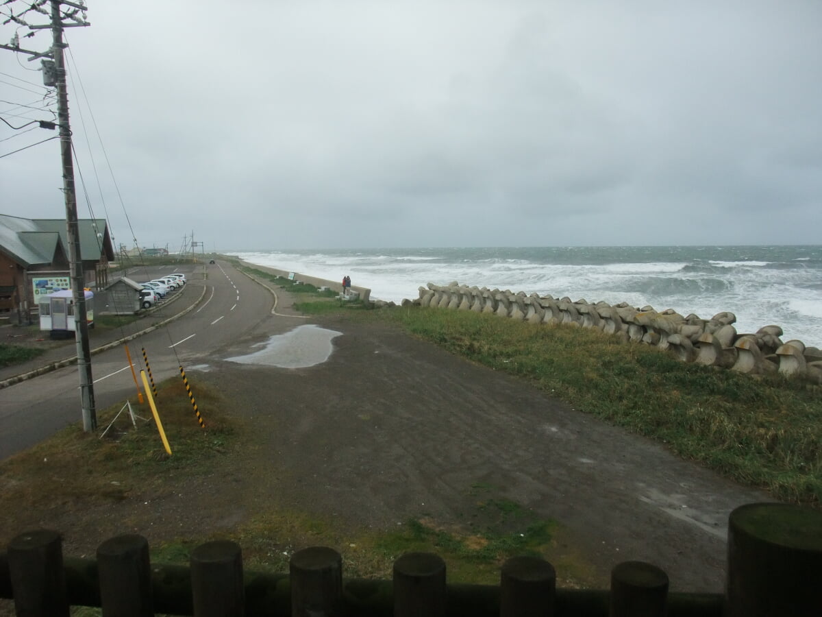 野付半島ネイチャーセンターの写真3