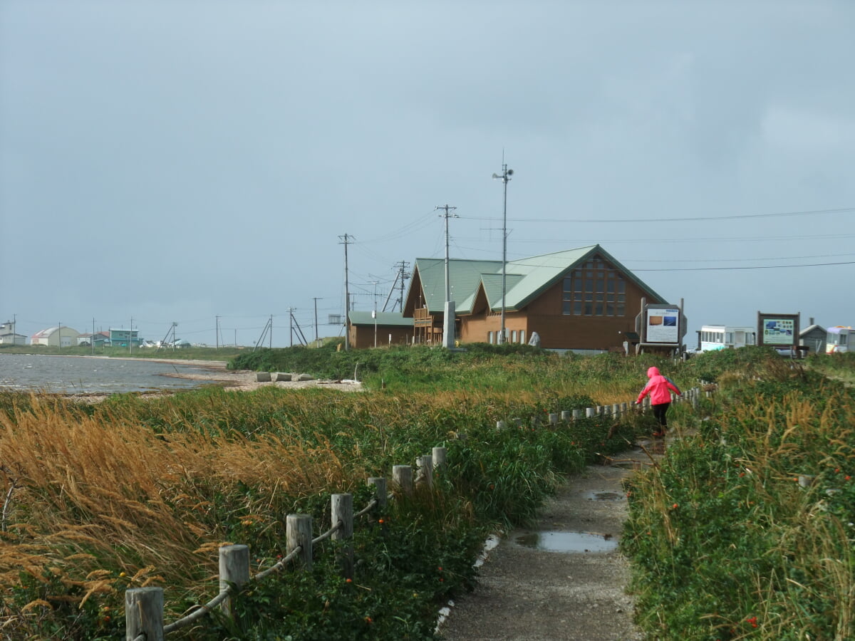 野付半島ネイチャーセンターの写真1