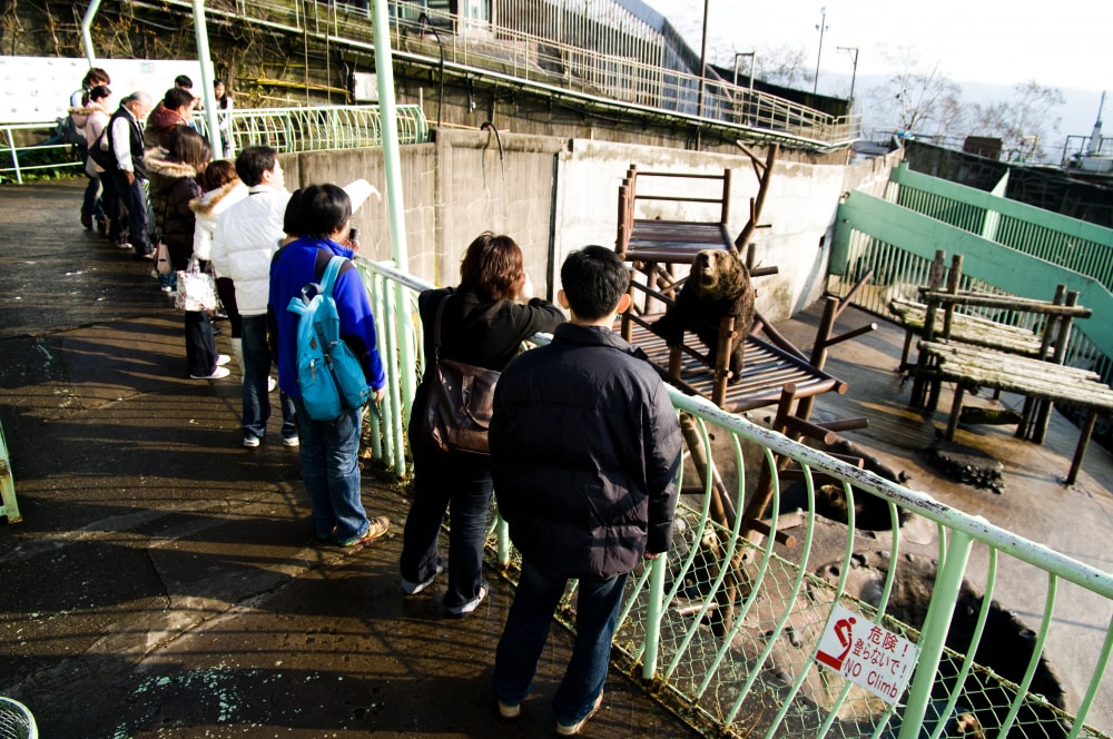 のぼりべつクマ牧場の写真2