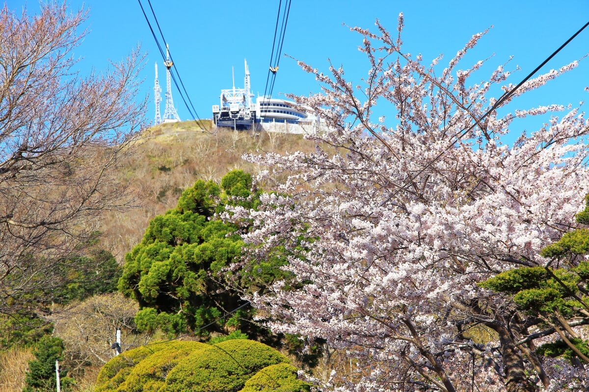函館山ロープウェイの写真3
