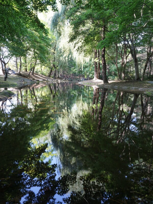 真鍋庭園の写真3