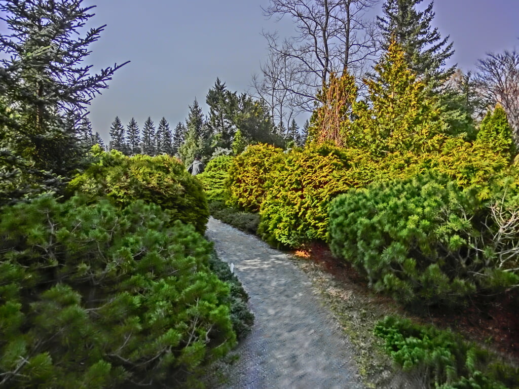 真鍋庭園の写真4