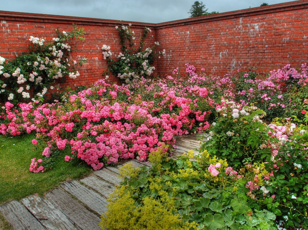 ゆにガーデンの写真2