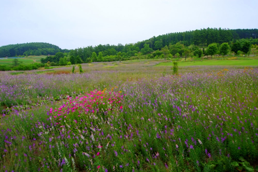 ゆにガーデンの写真3