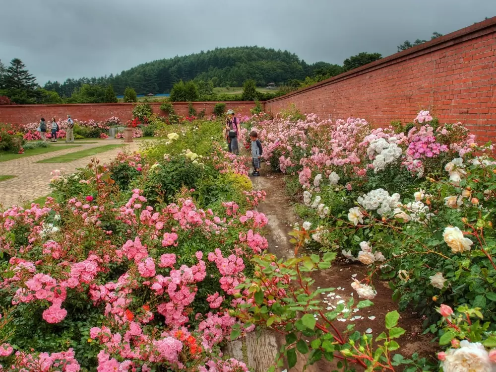 ゆにガーデンの写真1