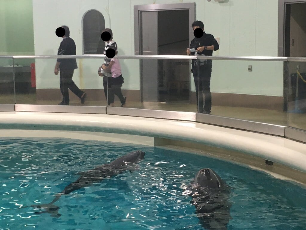 青森県営 浅虫水族館の写真3