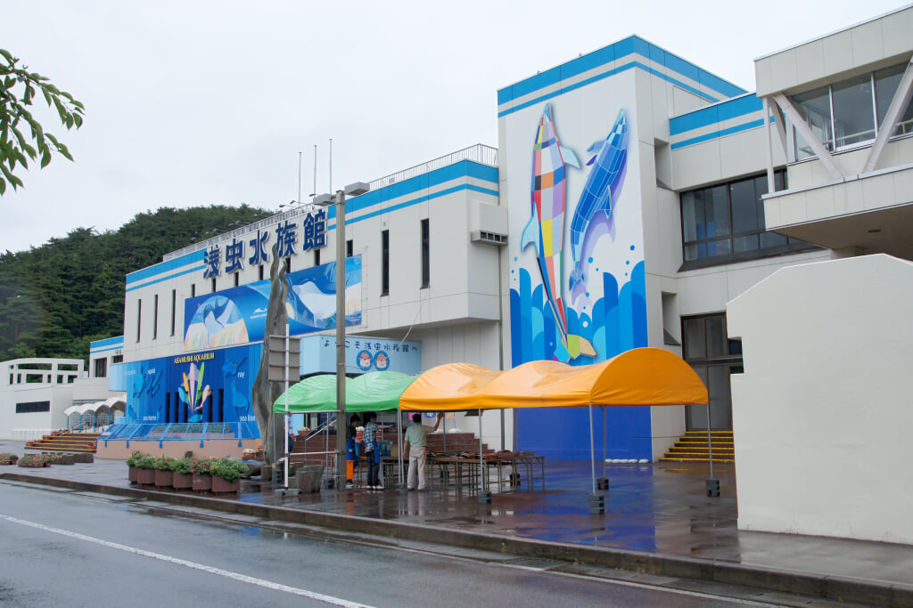 青森県営 浅虫水族館の写真8