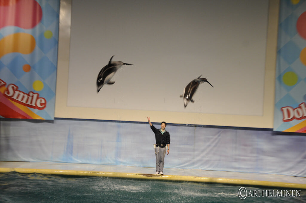 青森県営 浅虫水族館の写真11