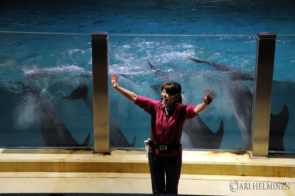 青森県営 浅虫水族館の写真16
