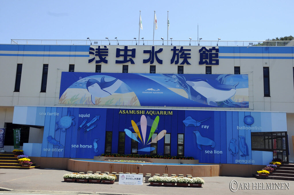 青森県営 浅虫水族館の写真17