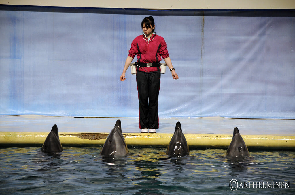 青森県営 浅虫水族館の写真22