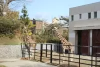 秋田市 大森山動物園