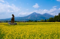 猪苗代ハーブ園