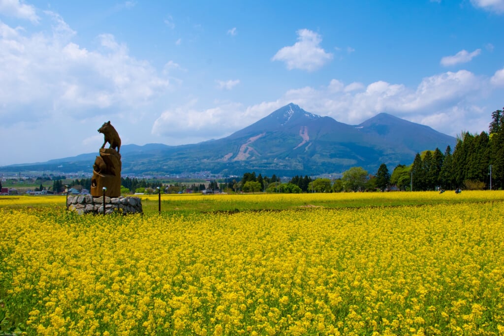 猪苗代ハーブ園の写真1