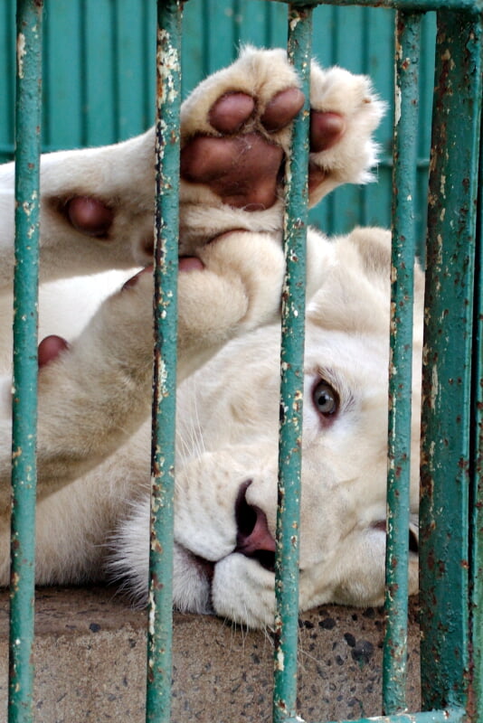 東北サファリパークの写真2