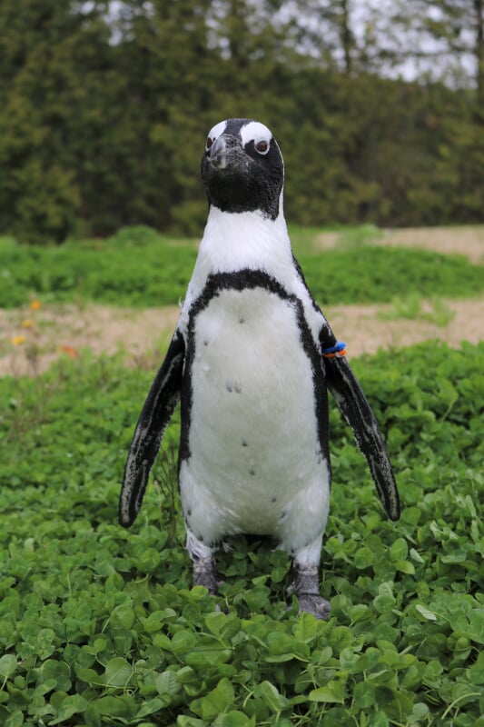 東北サファリパークの写真3