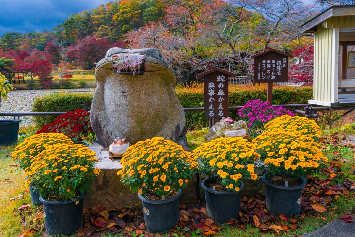 花と歴史の郷 蛇の鼻の写真2