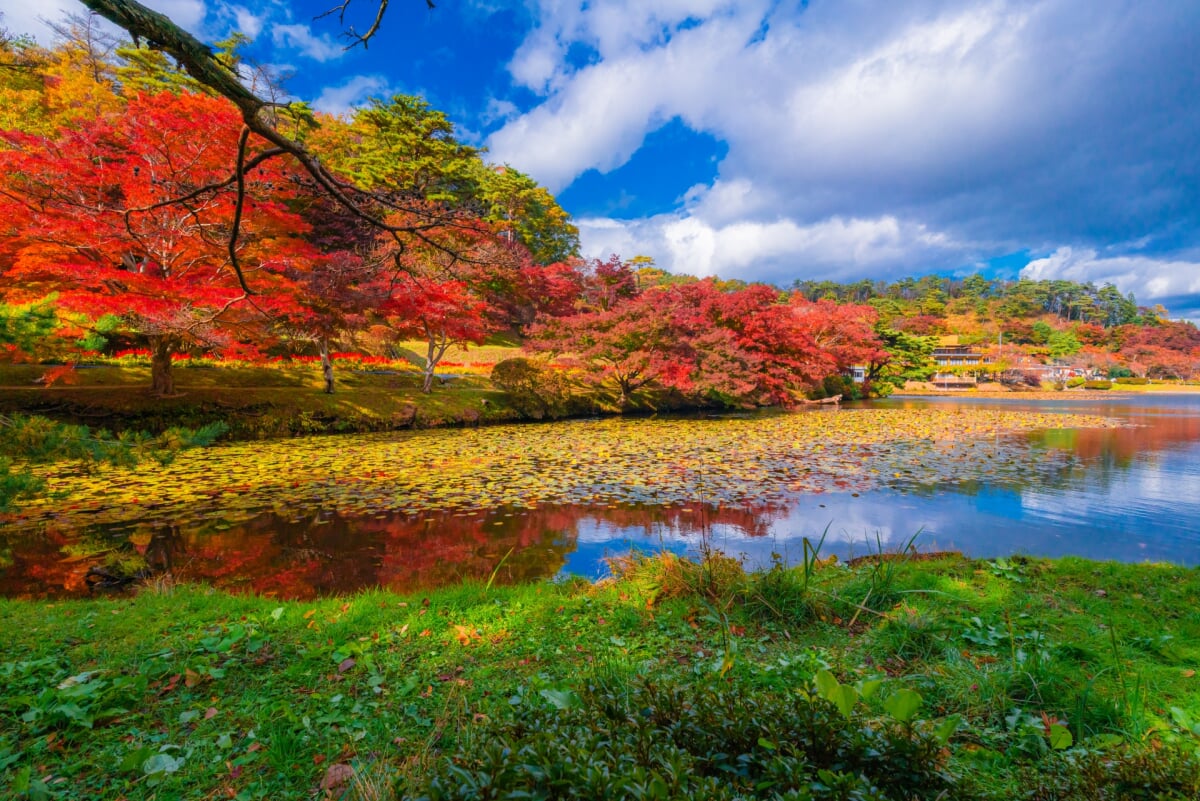 花と歴史の郷 蛇の鼻の写真3