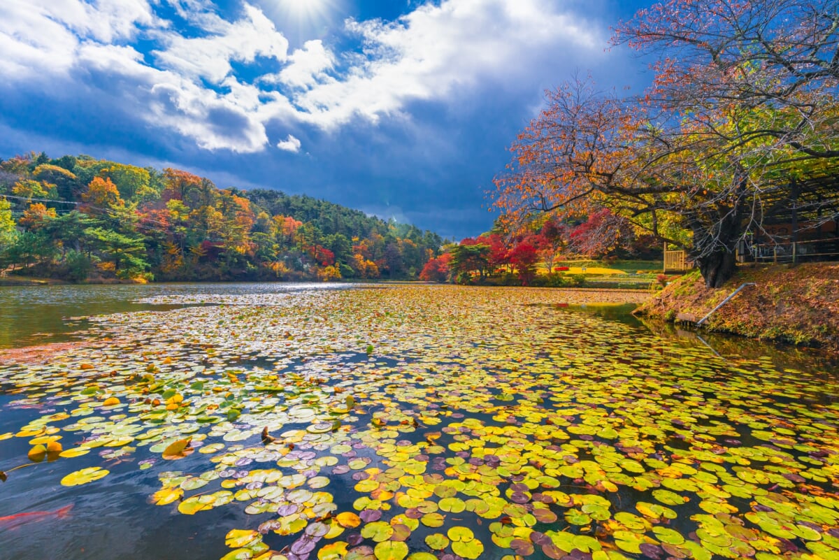 花と歴史の郷 蛇の鼻の写真4