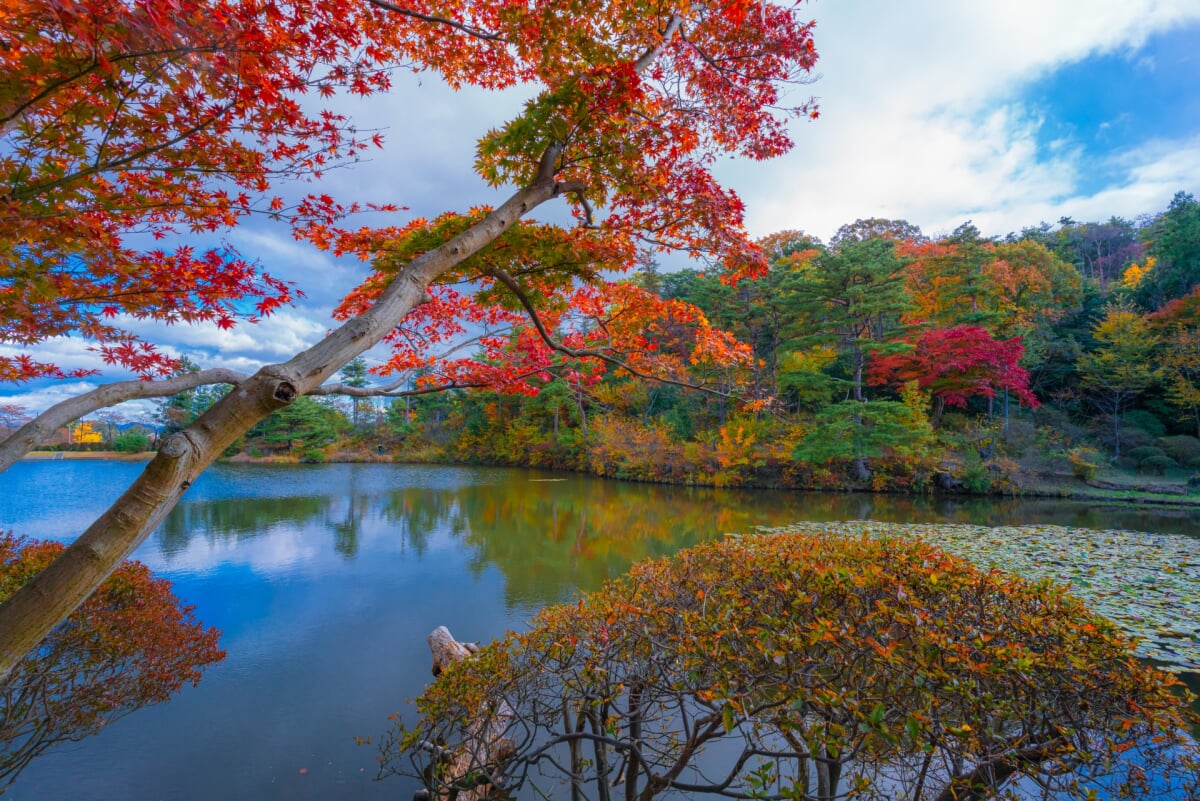 花と歴史の郷 蛇の鼻の写真5