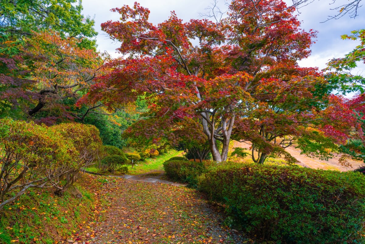 花と歴史の郷 蛇の鼻の写真6