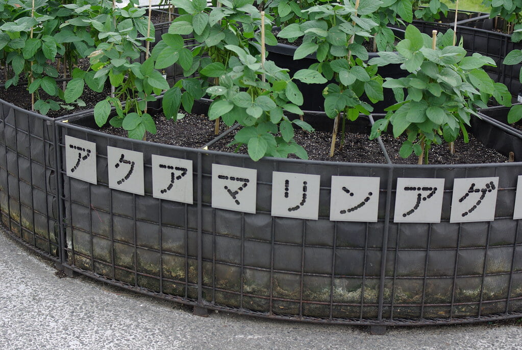 アクアマリンふくしま(ふくしま海洋科学館)の写真4