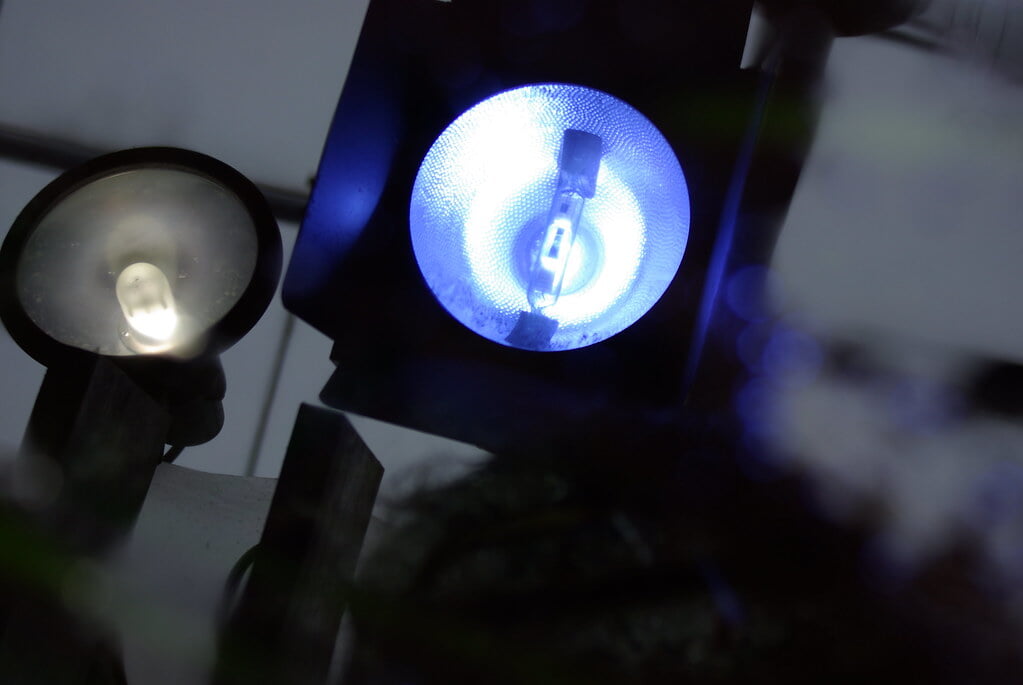 アクアマリンふくしま(ふくしま海洋科学館)の写真13