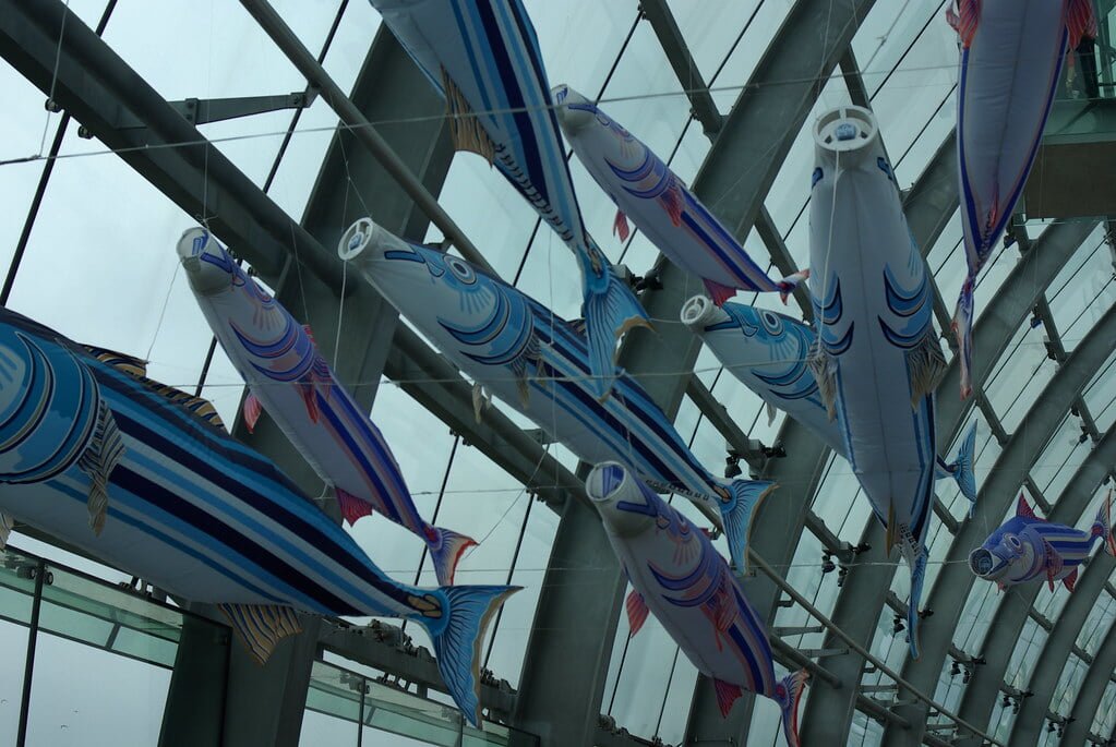 アクアマリンふくしま(ふくしま海洋科学館)の写真19