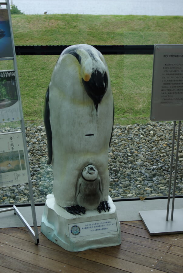 アクアマリンふくしま(ふくしま海洋科学館)の写真23