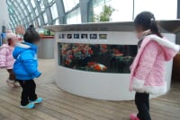 アクアマリンふくしま(ふくしま海洋科学館)