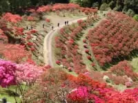 笠間つつじ公園