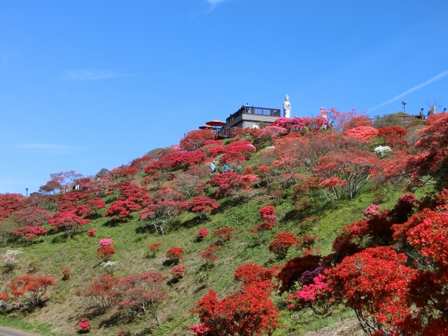 笠間つつじ公園の写真3