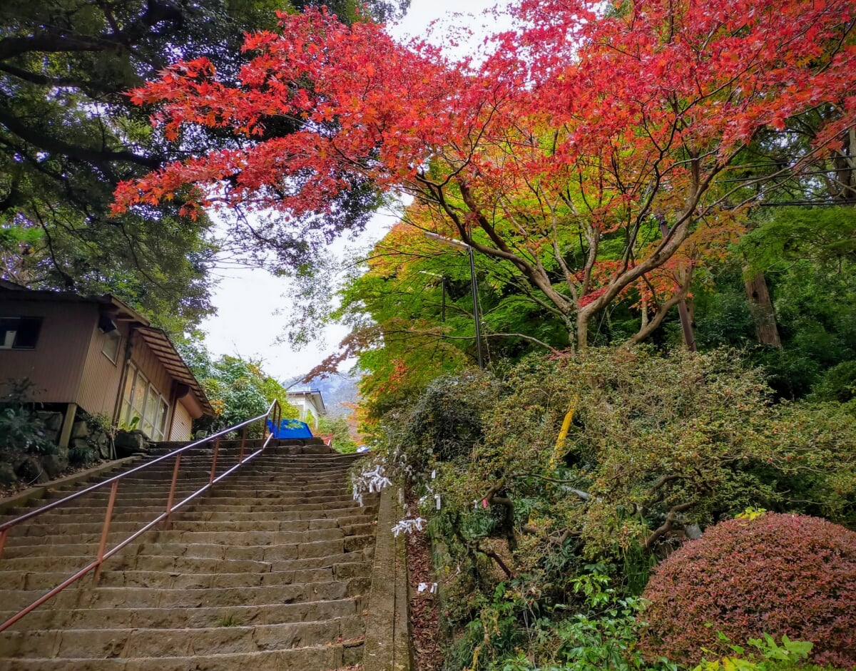 筑波山ケーブルカー・ロープウェイの写真5