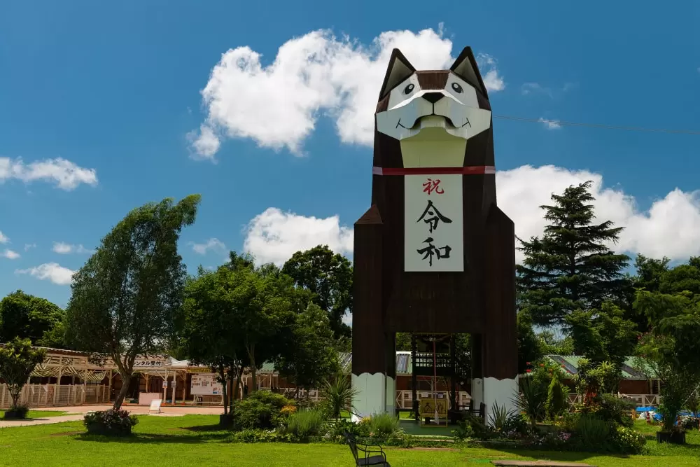 つくばわんわんランドの写真1