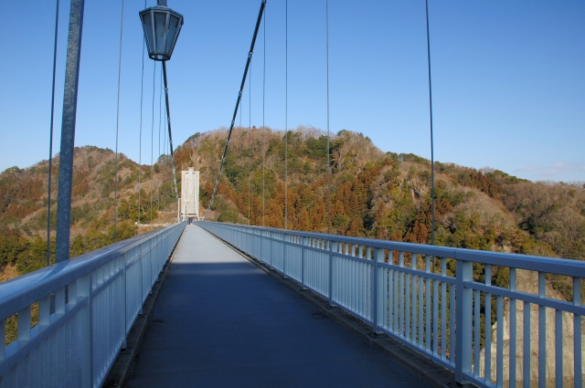 竜神大吊橋の写真3