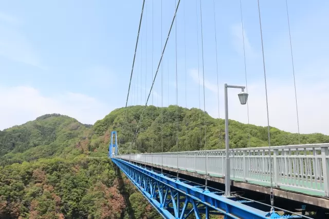 竜神大吊橋の写真1