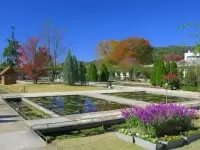 あしかがフラワーパーク