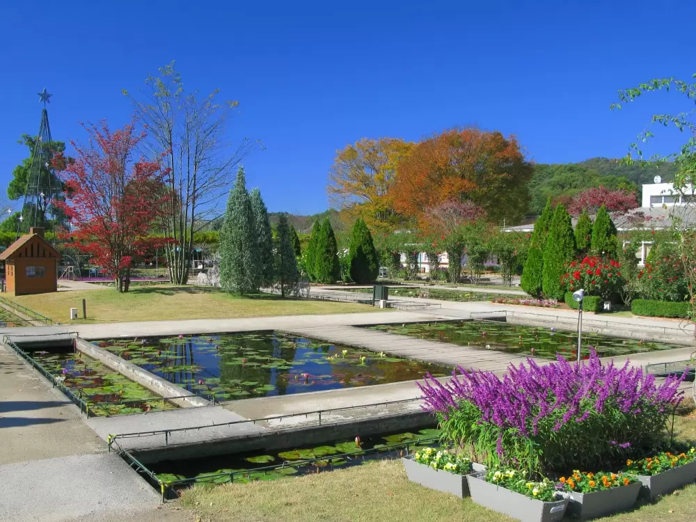 あしかがフラワーパークの写真1