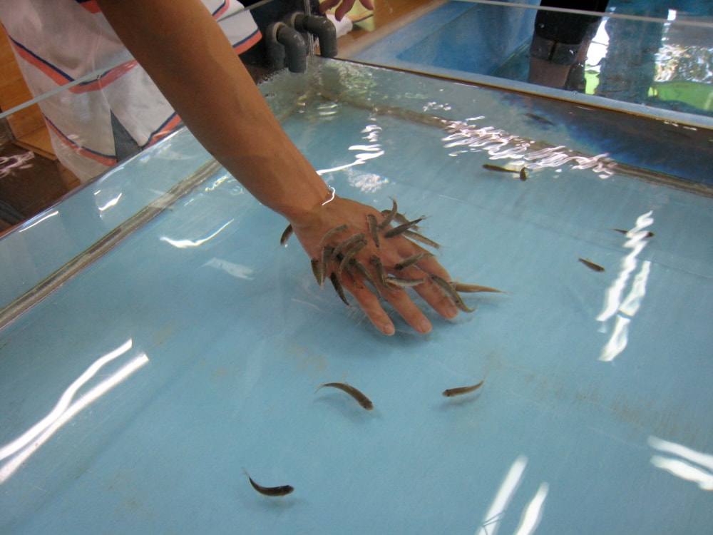 草津熱帯圏の写真3